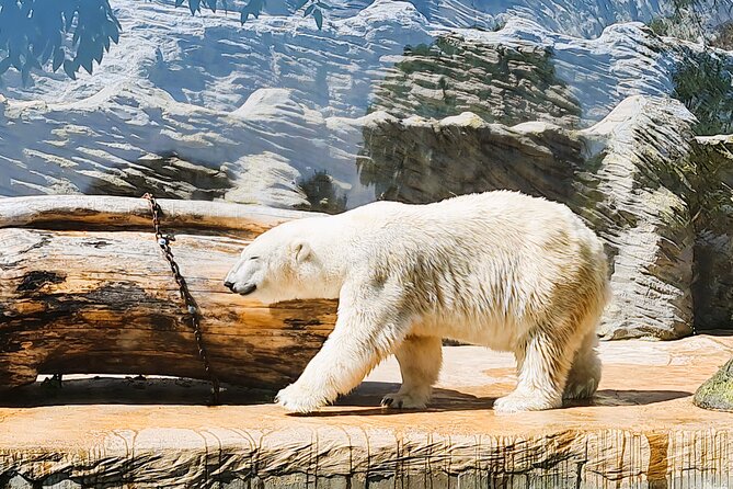 Prague Zoo Ticket with Online Audio Guide - Key things to know before you go