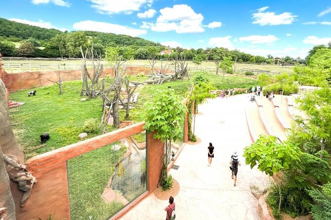 Prague Zoo Ticket with Online Audio Guide - Where you start: main entrance, ticket timing, and the map