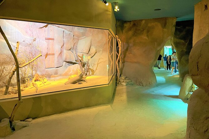 Prague Zoo Ticket with Online Audio Guide - The 2 to 3 hour plan: how to pace a large zoo without rushing