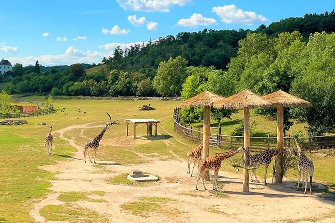 Prague Zoo Ticket with Online Audio Guide - Who should book this Prague Zoo audio guide experience