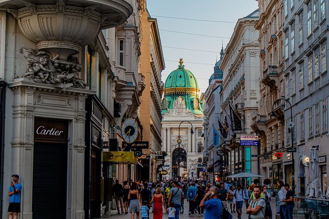 Private Day Tour from Prague to Vienna, English Speaking Driver - Driver Frank and why an English-speaking chauffeur matters