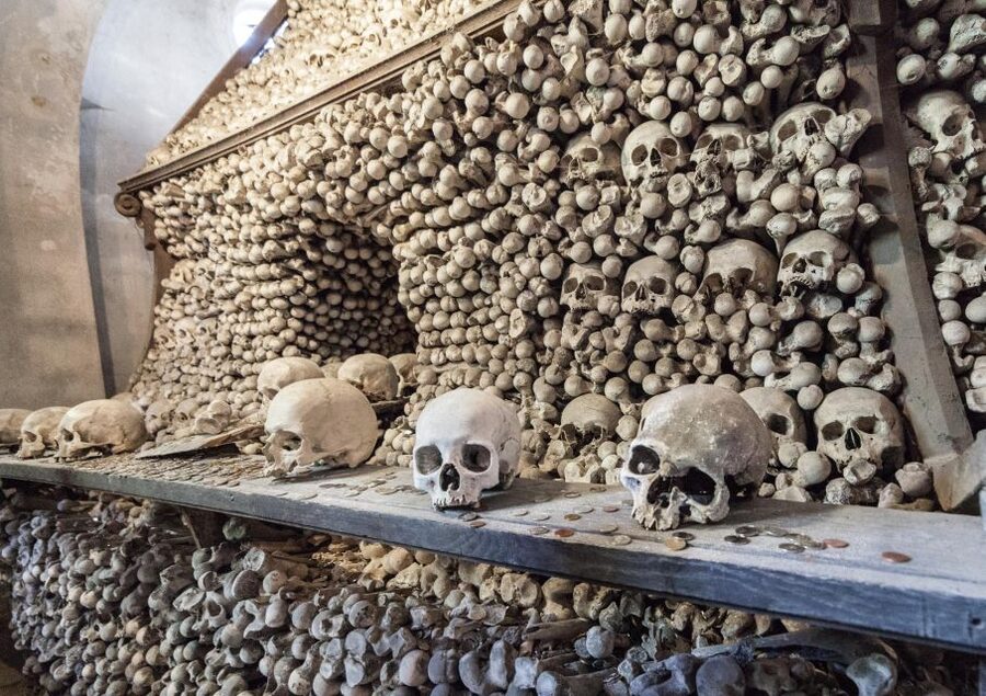 Private Guided Tour from Prague to UNESCO Kutna Hora - Timing, pacing, and what the 6-hour window means