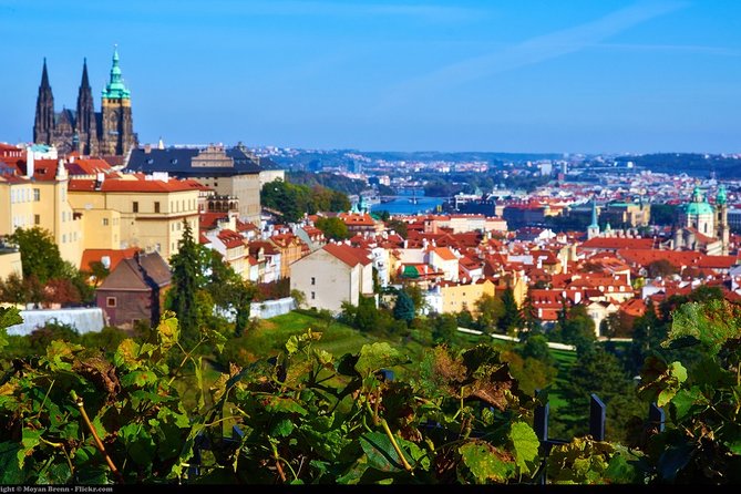Private Half-Day Walking Tour of Prague's Highlights - Old Town Hall and the Astronomical Clock Area