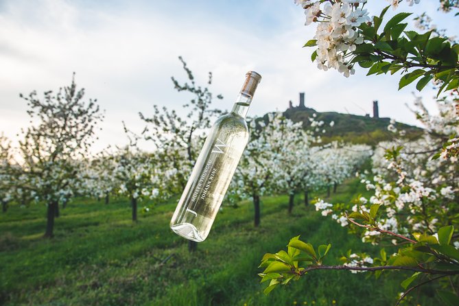 Private PICNIC in Bohemian Vineyards and Wine Tasting 4WD Tour - Quick highlights if you want the right details fast