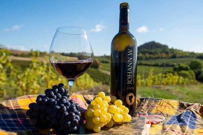 Private PICNIC in Bohemian Vineyards and Wine Tasting 4WD Tour - Hotel pickup, 4x4 transport, and why that matters for a half-day