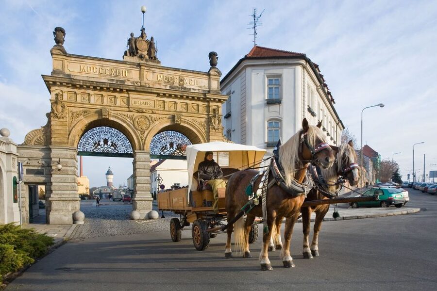 Private Pilsen & Pilsner Urquell Brewery Tour Prague - Who Should Book This Private Pilsen and Brewery Day