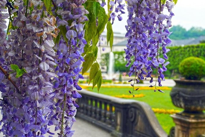 Private Scenic Transfer from Prague to Salzburg with 4h of Sightseeing - Price and Value: Why $355.14 Can Make Sense