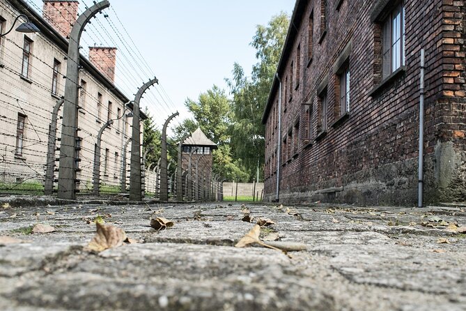 Private tour from Prague to Terezin, Konigstein and Dresden - Dresden historic center in a focused 2-hour window