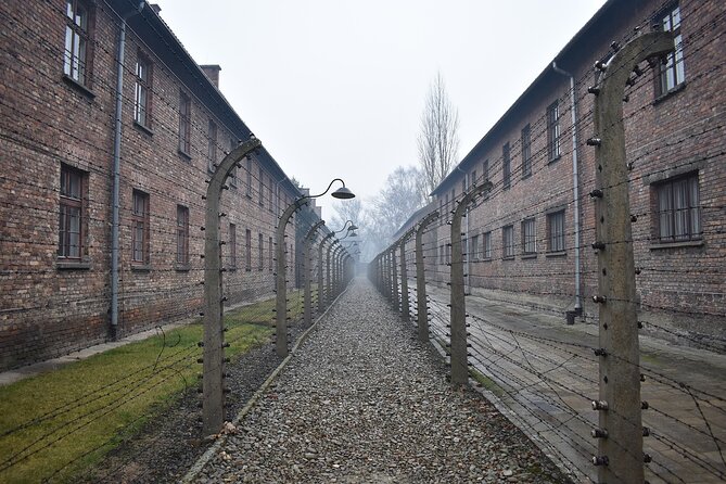 Private tour from Prague to Terezin, Konigstein and Dresden - Private car logistics that actually matter for comfort
