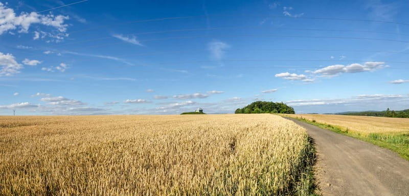 Self-Guided Bike Tour to Unetice Brewery - Key things you will like on this ride