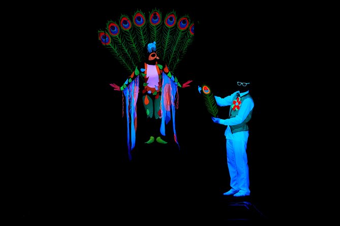 Skip the Line: WOW Show Black Light Theater in Prague Ticket - Audience interaction: how you will get pulled into the action