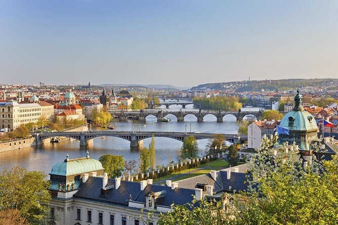 Sunny Beer garden tour - Key highlights worth planning around
