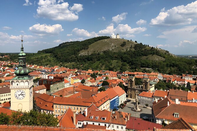 Ultimate private wine tasting experience from Prague to Moravia (3 days) - What you can expect to taste: Moravian whites and guided wine tasting