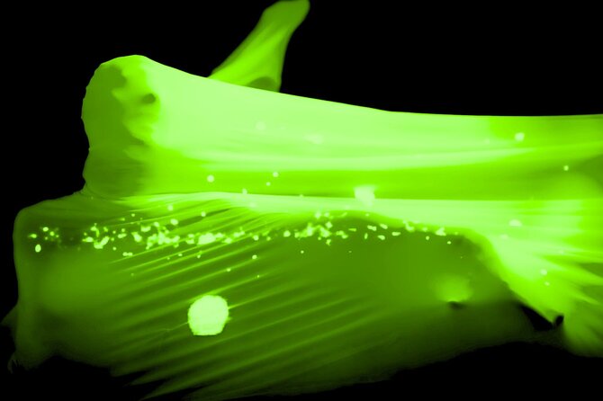 Underground Black Light Theatre Interactive Show in Prague - Prague Night Plans: What This Interactive Black Light Show Really Is
