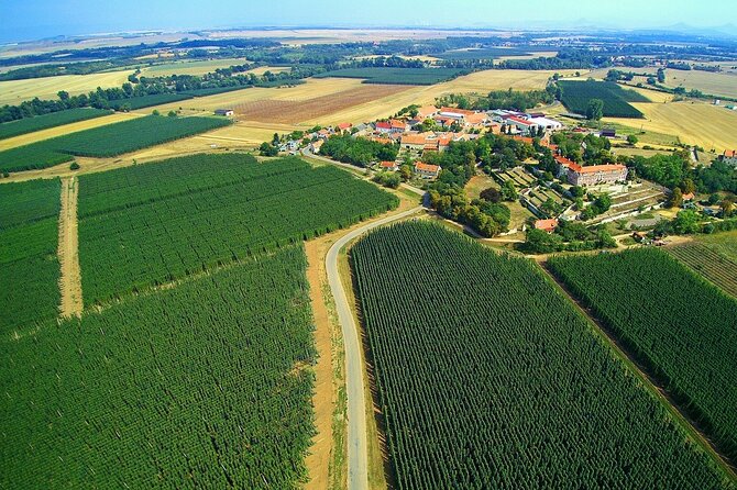 UNESCO Žatec The Town Where Beer is at Home Day Trip - Price and What You Actually Get for $313.35