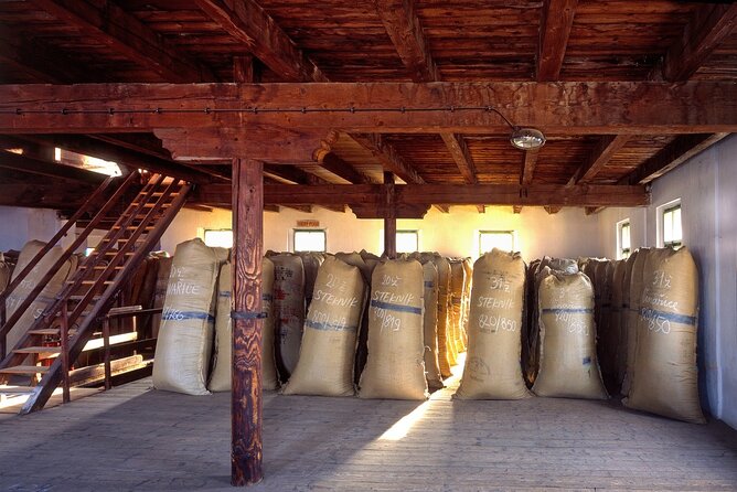 UNESCO Žatec The Town Where Beer is at Home Day Trip - Who This Day Trip Suits (and Who Might Not)