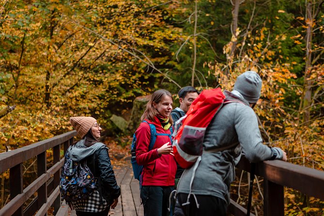 VIP Best Reviews: Bohemian & Saxon Switzerland from Prague - Mezní Louka to Tisá Rocks in winter: the Narnia setting you can walk