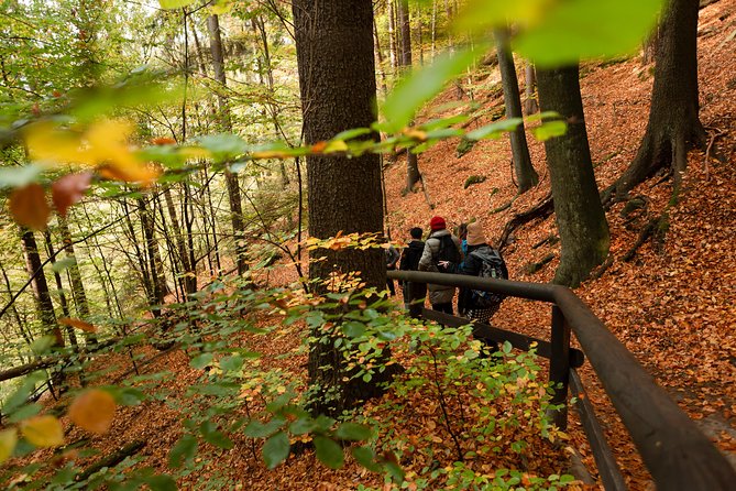 VIP Best Reviews: Bohemian & Saxon Switzerland from Prague - Returning to Prague without feeling rushed