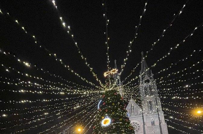 Walking tour in Prague Christmas Market and Festivities - Stop 4: Charles Bridge wrap-up and making a wish