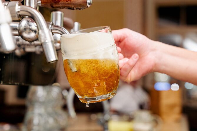 Where Czechs Drink Beer: A Short Tour and Beer Experience - What You’ll Experience Day-to-Day: Pace, Language, and Meeting Up