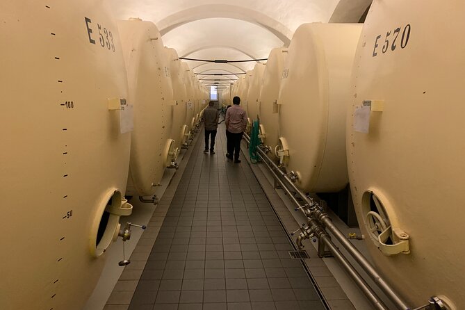 WINE, FOOD & BEER TOUR from Prague to PILSEN - Price and value for a $356.23 private beer and wine day